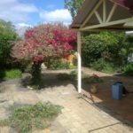 Garden maintenance photograph 2